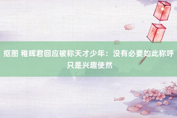 抠图 稚晖君回应被称天才少年：没有必要如此称呼 只是兴趣使然